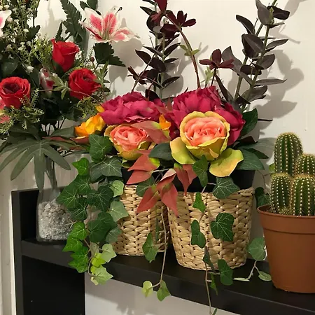 Apartman Venice Night 25 Via Milano